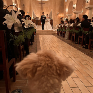 挙式の様子|778251さんのアネーリ大宮（旧：ヴィラ・デ・マリアージュさいたま）の写真(2575331)