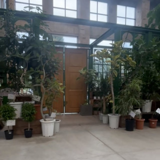 挙式で入場した扉