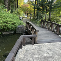 自然をバックに橋の上で撮影しました