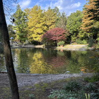 ガーデンの奥にある池