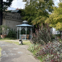 ガーデンにあるベンチ