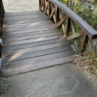 式の前にこの橋で撮影していただきました