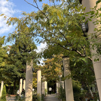 挙式でたあたりのガーデン