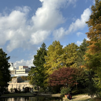 奥から見た景色