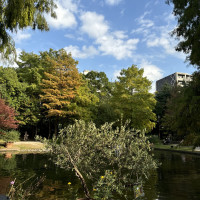 庭の奥にある池