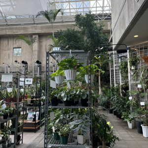 挙式会場の植物|778266さんのCUCINA Pagina（クッチーナ パージナ）の写真(2575058)