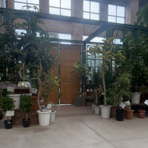 挙式で入場した扉|778266さんのCUCINA Pagina（クッチーナ パージナ）の写真(2575018)