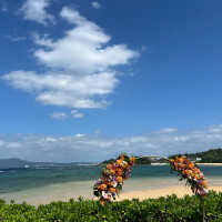 海とのコントラストが素敵です！