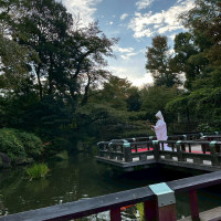 貸切で庭参進ができる