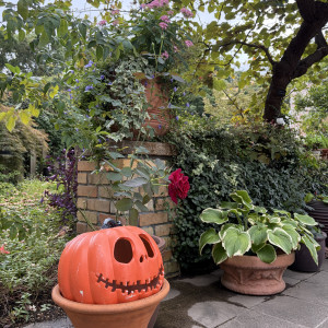 子連れの参列者が記念撮影してました|778393さんのCUCINA Pagina（クッチーナ パージナ）の写真(2575217)