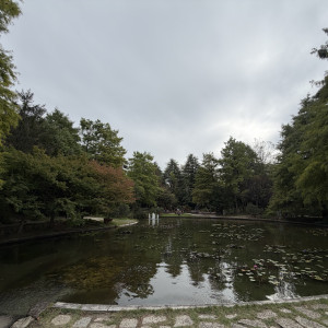 ガーデンに池|778393さんのCUCINA Pagina（クッチーナ パージナ）の写真(2575215)