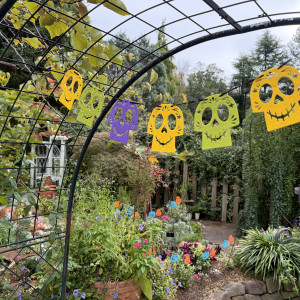 ハロウィンの装飾|778393さんのCUCINA Pagina（クッチーナ パージナ）の写真(2575216)