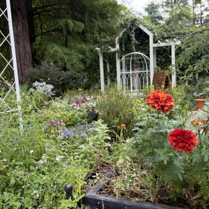 待ち時間も散歩できる|778393さんのCUCINA Pagina（クッチーナ パージナ）の写真(2575219)