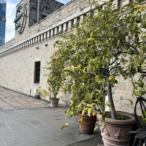 支度する場所も統一感があっておしゃれでした|778393さんのCUCINA Pagina(クッチーナ パージナ)の写真(2575283)