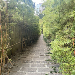 天候や季節に左右されない竹林は定番の写真スポットのようです。|778551さんの響 風庭 赤坂の写真(2576525)