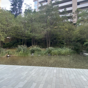 オフィス街なので、休日は都会とは思えない落ち着きがあります。|778551さんの響 風庭 赤坂の写真(2576523)