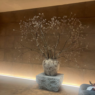 チャペル（ナンキンハゼ）