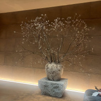 チャペル（ナンキンハゼ）