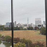 ソール会場からの景色です。上野公園が一望できます。