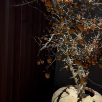 季節の木々、花