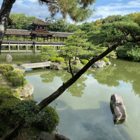 雨でも綺麗なお庭のようです。