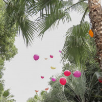 ドロップ＆フライで空を見た時に、ジャングルのようで楽しいです