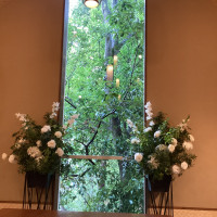 チャペルです。どんぐりの木がみえます。