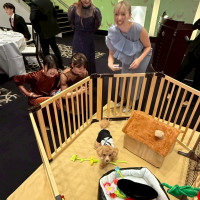 披露宴もペットOK