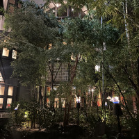 夜でも建物の雰囲気が良い