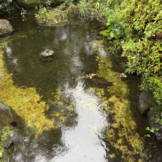 THE GARDEN PLACE SOSHUEN(ザ・ガーデン・プレイス 蘇州園)のクチコミ 庭・ガーデンの写真(1枚目)