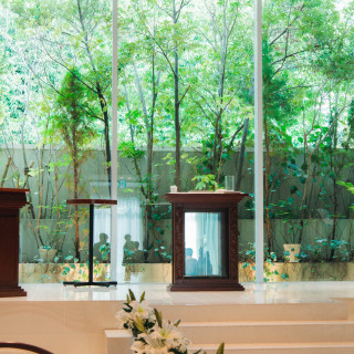 緑と光が入ってくる明るい空間