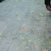 生花のフラワーシャー