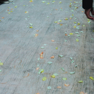 生花のフラワーシャー|779145さんのTHE SEASONS LANDMARK KOBE KITANO ザシーズンズランドマーク神戸北野の写真(2579726)