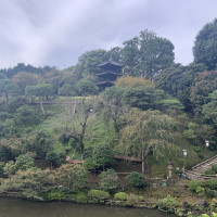 敷地内の庭園の雰囲気
