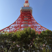披露宴会場外からの景色