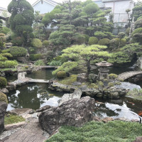会場から見える日本庭園です