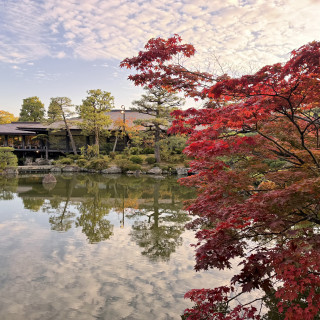 写真撮影にて使用できる庭園