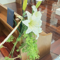 このお花はデフォルトの金額でついています