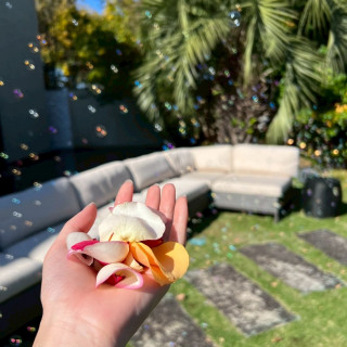 緑いっぱいで綺麗