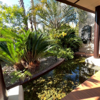 チャペル付近に緑いっぱいあります