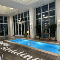 小さくも大きくもなく丁度いいサイズの映えるプール