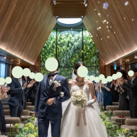 フラワーシャワー