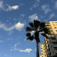 外で上を見上げた時まるでリゾートのような気分になれます