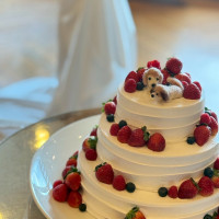 トップのわんこ達は手作りしたものを乗せていただきました。