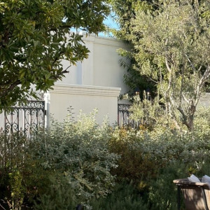 デザートビュッフェなどするときのガーデン|779720さんのアーセンティア迎賓館（高崎）/テイクアンドギヴ・ニーズウェディングの写真(2581961)