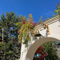 ウエディングベル