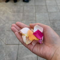 フラワーシャワーを行いました