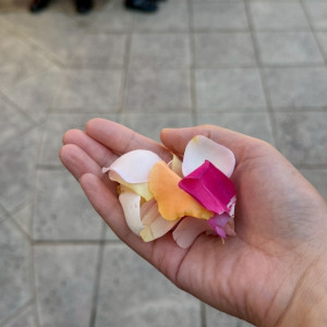 フラワーシャワーを行いました|779741さんのfelizcreer(フェリスクレール)の写真(2582100)