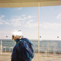 テラスからのサプライズお色直し入場