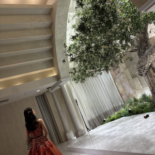 オリーブの木がある白を基調とした素敵な式場です!